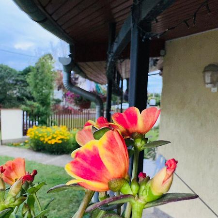 Apartament Cozy Garden Apartman Gyula Zewnętrze zdjęcie